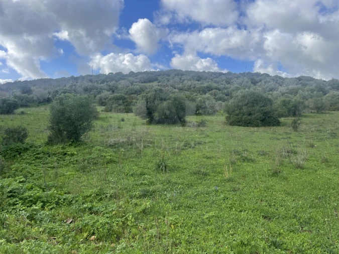 Terreno para Venda em Garvão e Santa Luzia