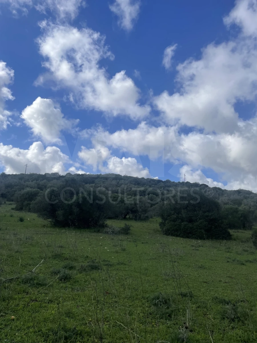 Terreno para Venda em Garvão e Santa Luzia Foto 3