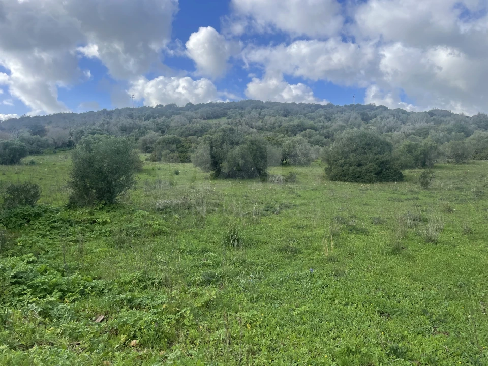 Terreno para Venda em Garvão e Santa Luzia Foto 1