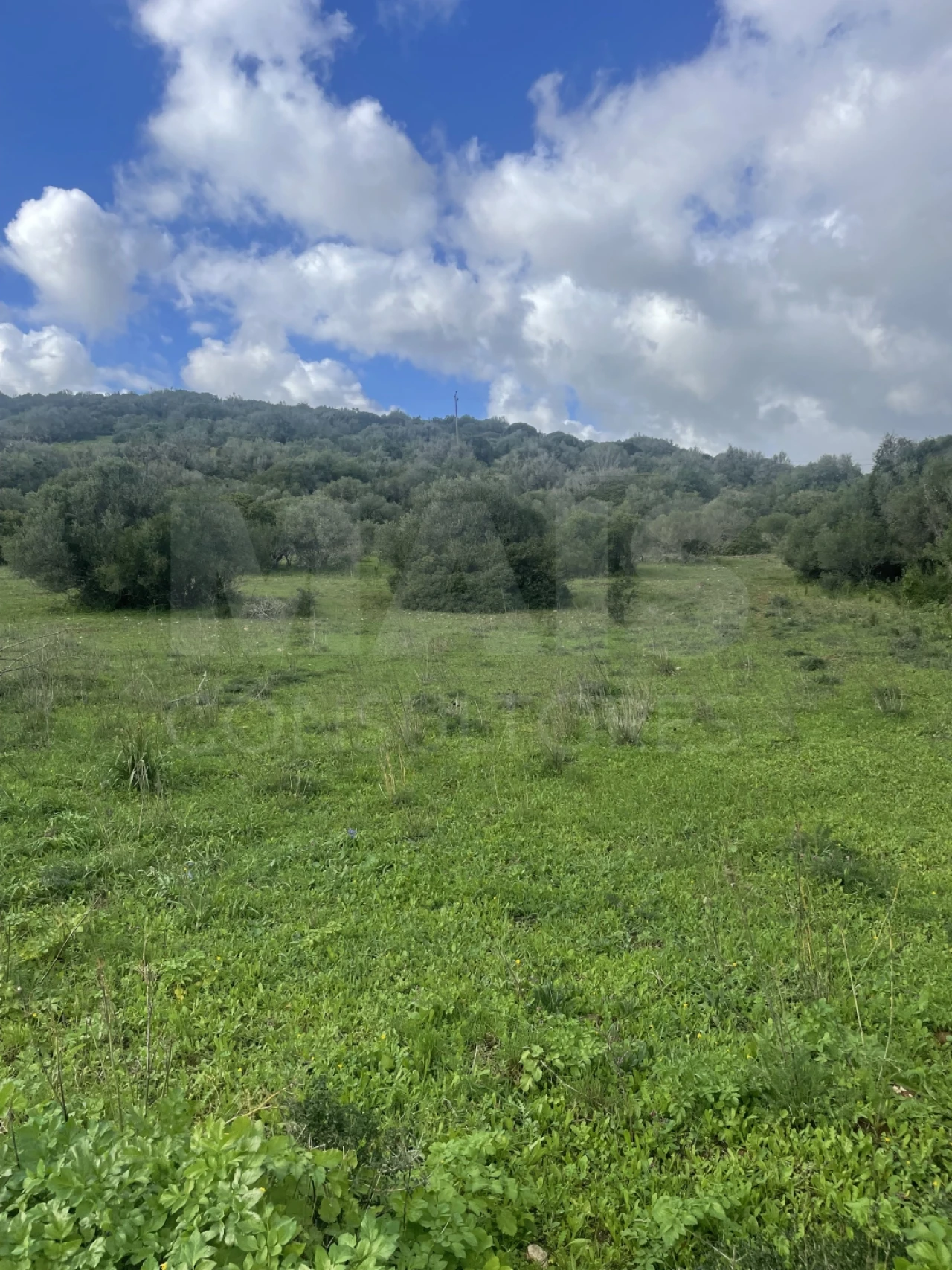 Terreno para Venda em Garvão e Santa Luzia Foto 4