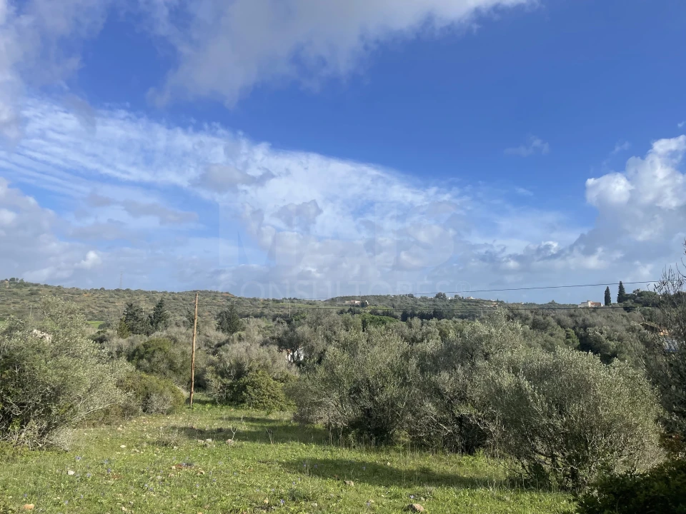 Terreno para Venda em Garvão e Santa Luzia Foto 2