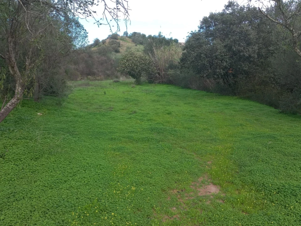 Terreno Agricola ou Rústico para Venda em Vila Nova de Cacela Foto 2