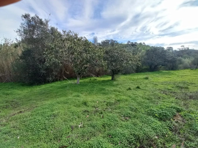 Terreno Agricola ou Rústico para Venda em Vila Nova de Cacela Foto 4