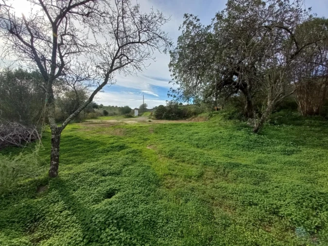 Terreno Agricola ou Rústico para Venda em Vila Nova de Cacela Foto 6