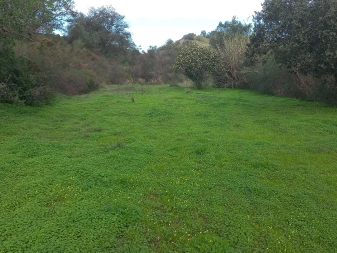 Terreno Agricola ou Rústico para Venda em Vila Nova de Cacela Foto 10