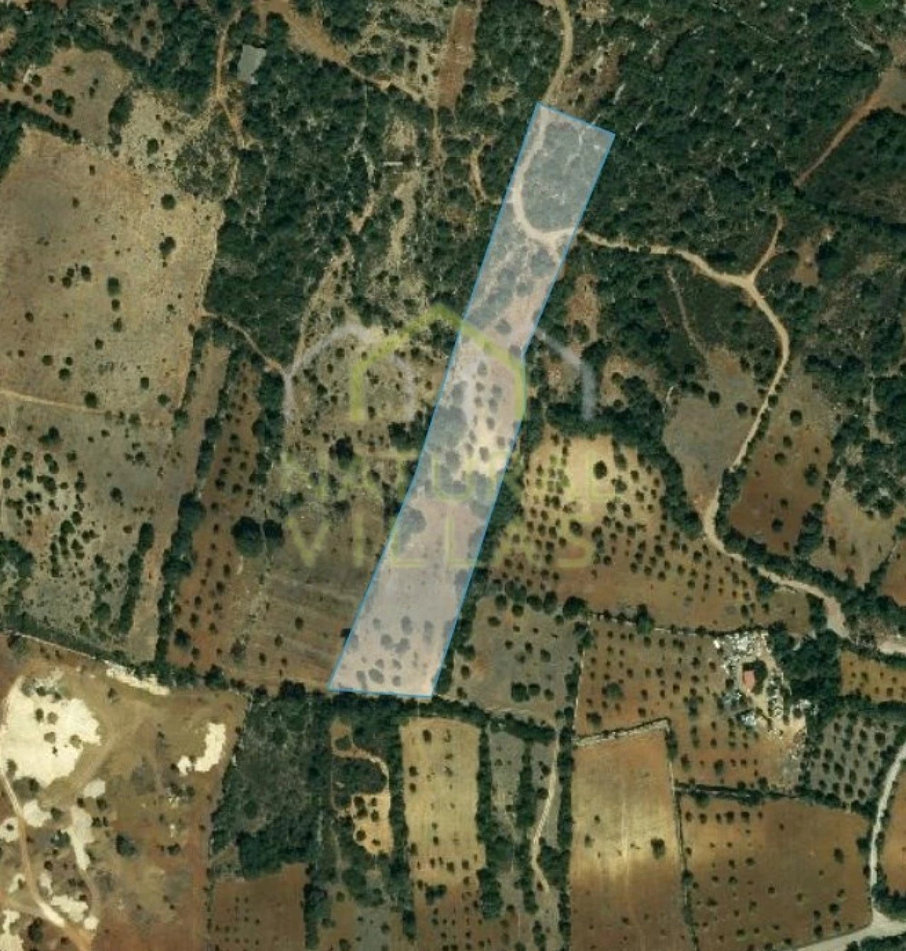 Terreno Agricola ou Rústico para Venda em São Brás de Alportel Foto 1