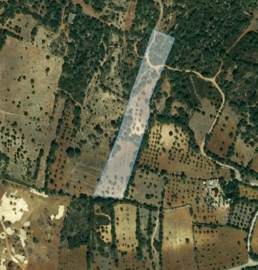 Terreno Agricola ou Rústico para Venda em São Brás de Alportel Planta 1