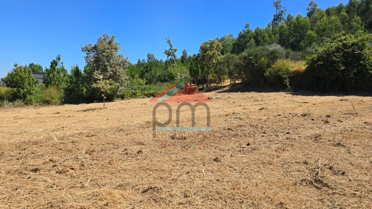 Terreno para Venda em Sago, Lordelo e Parada Foto 4