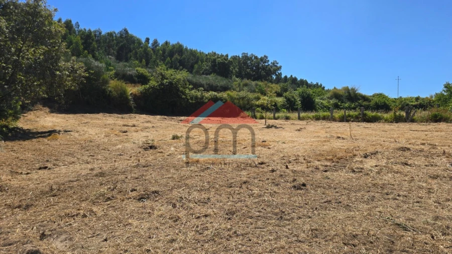 Terreno para Venda em Sago, Lordelo e Parada Foto 3