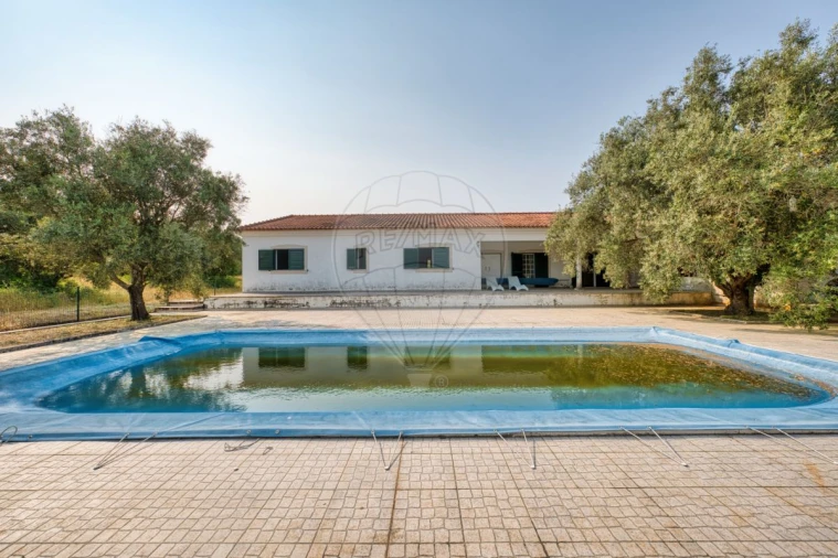 Quinta T4 para Venda em Almoster Foto 13