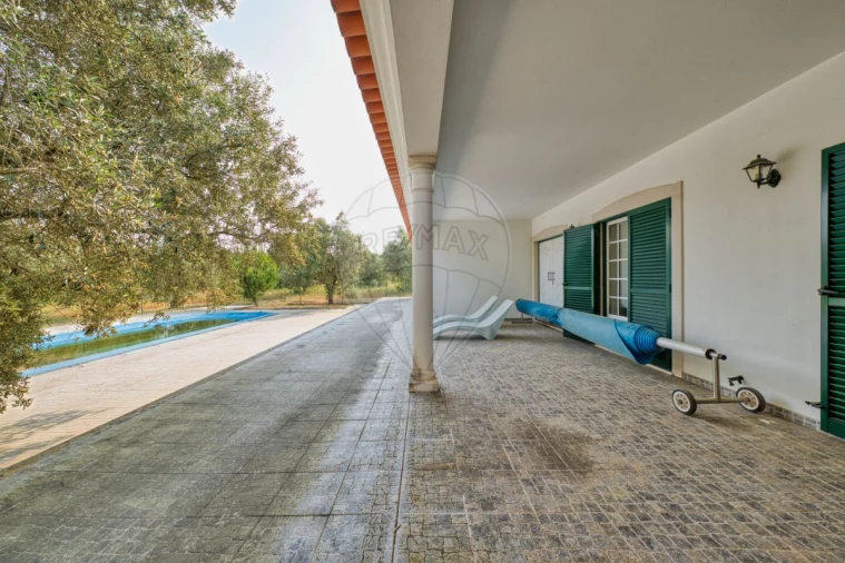 Quinta T4 para Venda em Almoster Foto 15