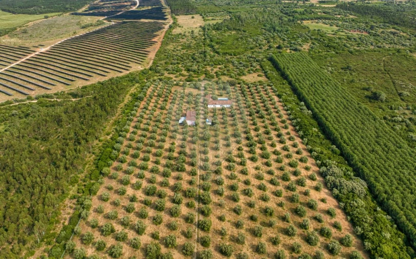 Quinta T4 para Venda em Almoster Foto 5