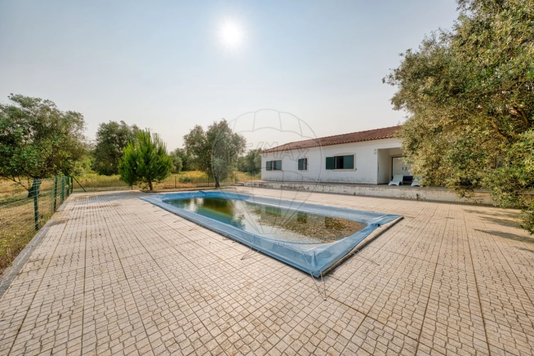 Quinta T4 para Venda em Almoster Foto 12