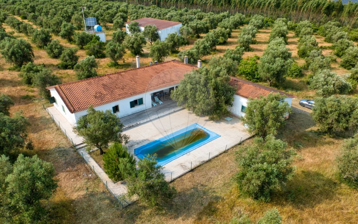 Quinta T4 para Venda em Almoster Foto 1