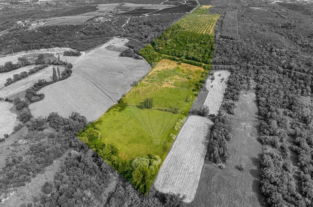 Quinta T4 para Venda em Almoster Foto 3