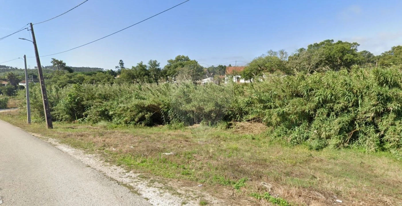 Terreno para Venda em Rio Maior Foto 2
