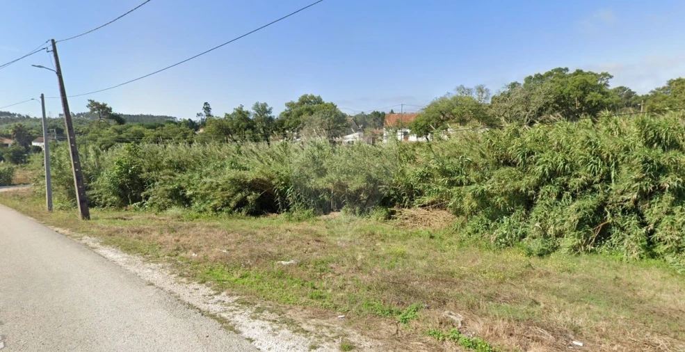 Terreno para Venda em Rio Maior Foto 2