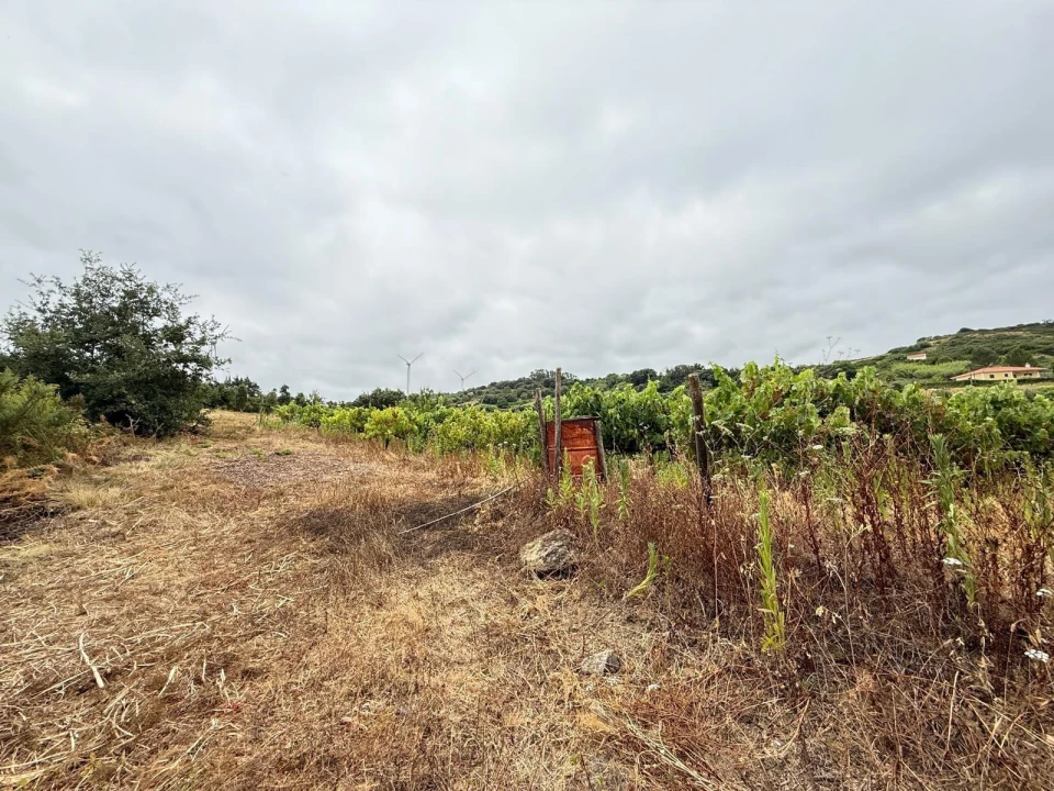 Terreno Agricola ou Rústico para Venda em Santa Maria, São Pedro e Matacães Foto 15