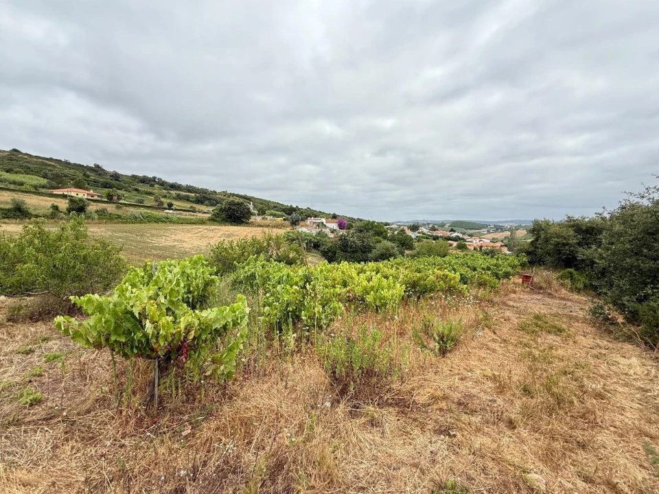 Terreno Agricola ou Rústico para Venda em Santa Maria, São Pedro e Matacães Foto 6