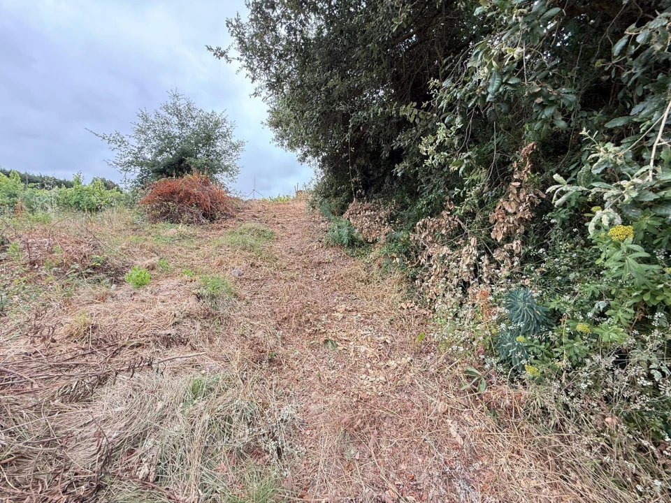 Terreno Agricola ou Rústico para Venda em Santa Maria, São Pedro e Matacães Foto 9