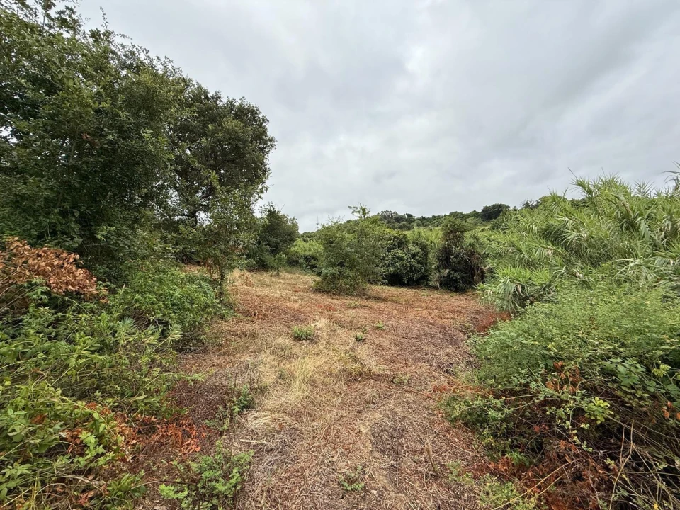 Terreno Agricola ou Rústico para Venda em Santa Maria, São Pedro e Matacães Foto 12