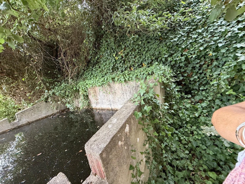 Terreno Agricola ou Rústico para Venda em Santa Maria, São Pedro e Matacães Foto 13