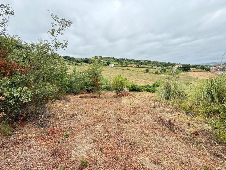 Terreno Agricola ou Rústico para Venda em Santa Maria, São Pedro e Matacães Foto 15
