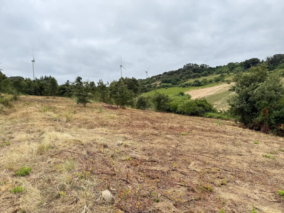 Terreno Agricola ou Rústico para Venda em Santa Maria, São Pedro e Matacães Foto 17