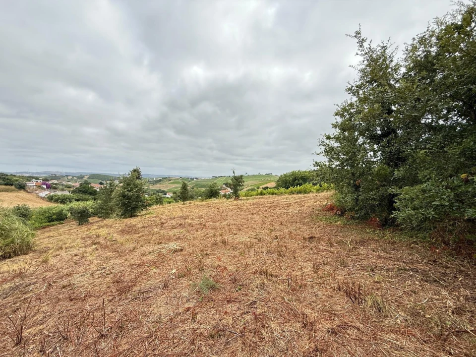 Terreno Agricola ou Rústico para Venda em Santa Maria, São Pedro e Matacães Foto 18