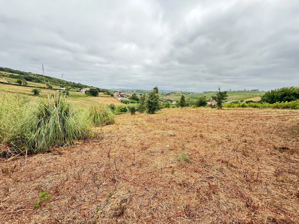 Terreno Agricola ou Rústico para Venda em Santa Maria, São Pedro e Matacães Foto 19
