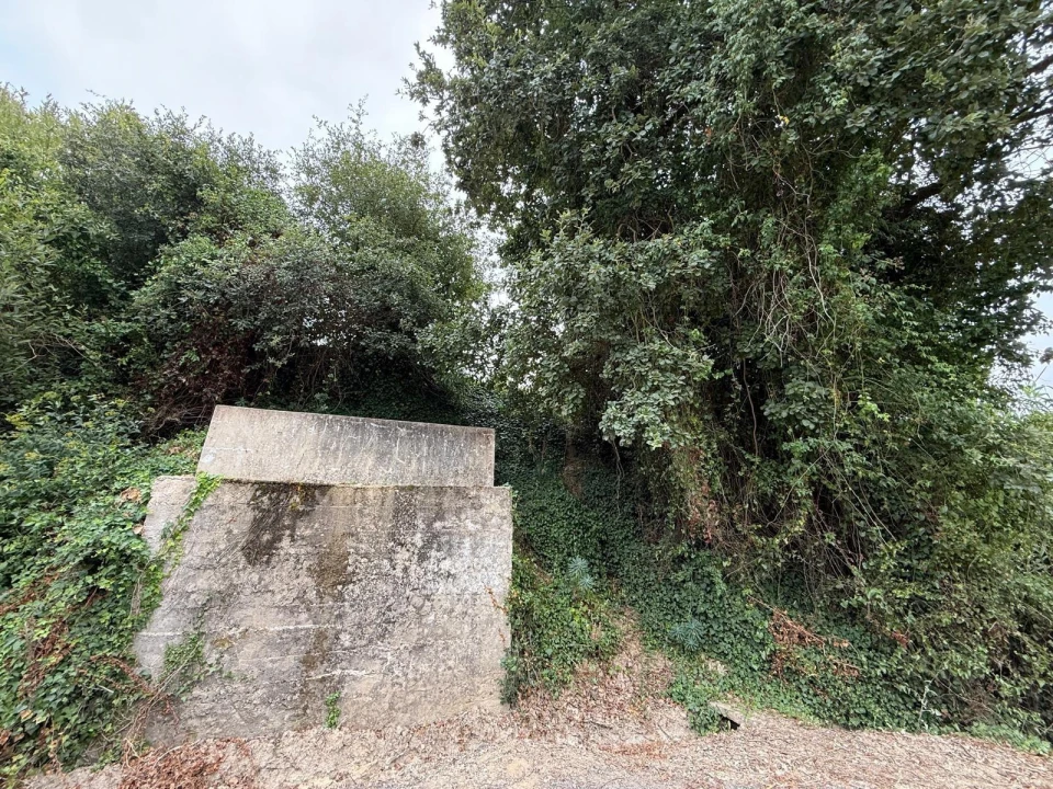 Terreno Agricola ou Rústico para Venda em Santa Maria, São Pedro e Matacães Foto 20