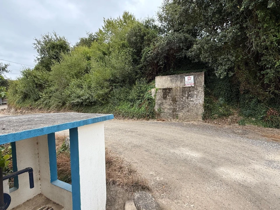 Terreno Agricola ou Rústico para Venda em Santa Maria, São Pedro e Matacães Foto 22