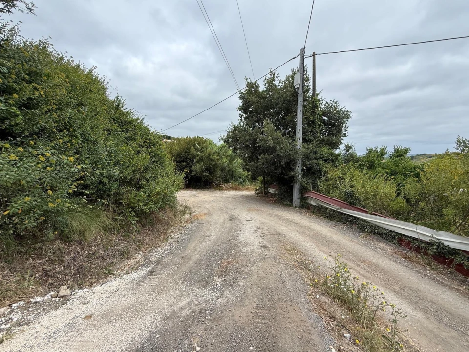 Terreno Agricola ou Rústico para Venda em Santa Maria, São Pedro e Matacães Foto 3