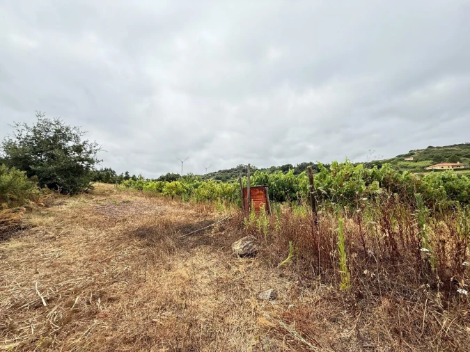 Terreno Agricola ou Rústico para Venda em Santa Maria, São Pedro e Matacães Foto 15