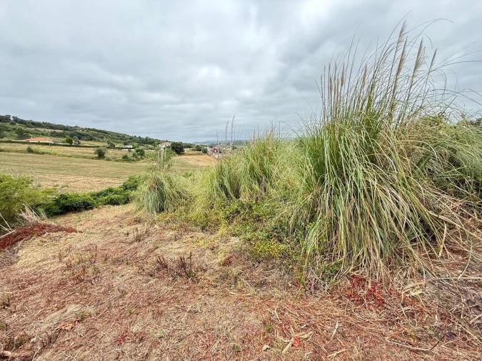 Terreno Agricola ou Rústico para Venda em Santa Maria, São Pedro e Matacães Foto 14