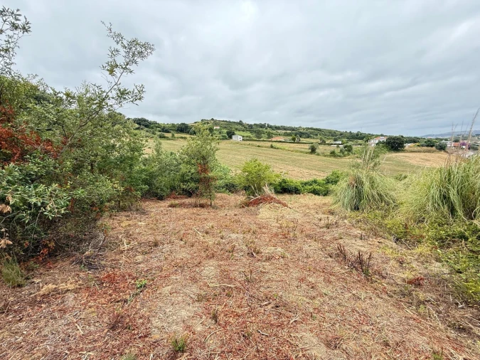 Terreno Agricola ou Rústico para Venda em Santa Maria, São Pedro e Matacães Foto 15