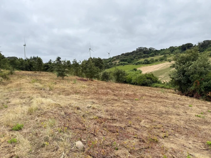 Terreno Agricola ou Rústico para Venda em Santa Maria, São Pedro e Matacães Foto 17