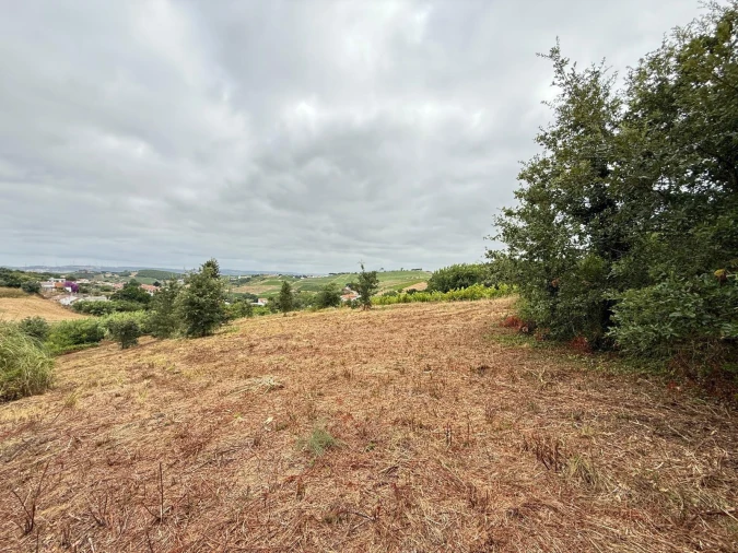 Terreno Agricola ou Rústico para Venda em Santa Maria, São Pedro e Matacães Foto 18