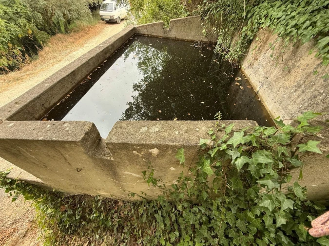 Terreno Agricola ou Rústico para Venda em Santa Maria, São Pedro e Matacães Foto 2