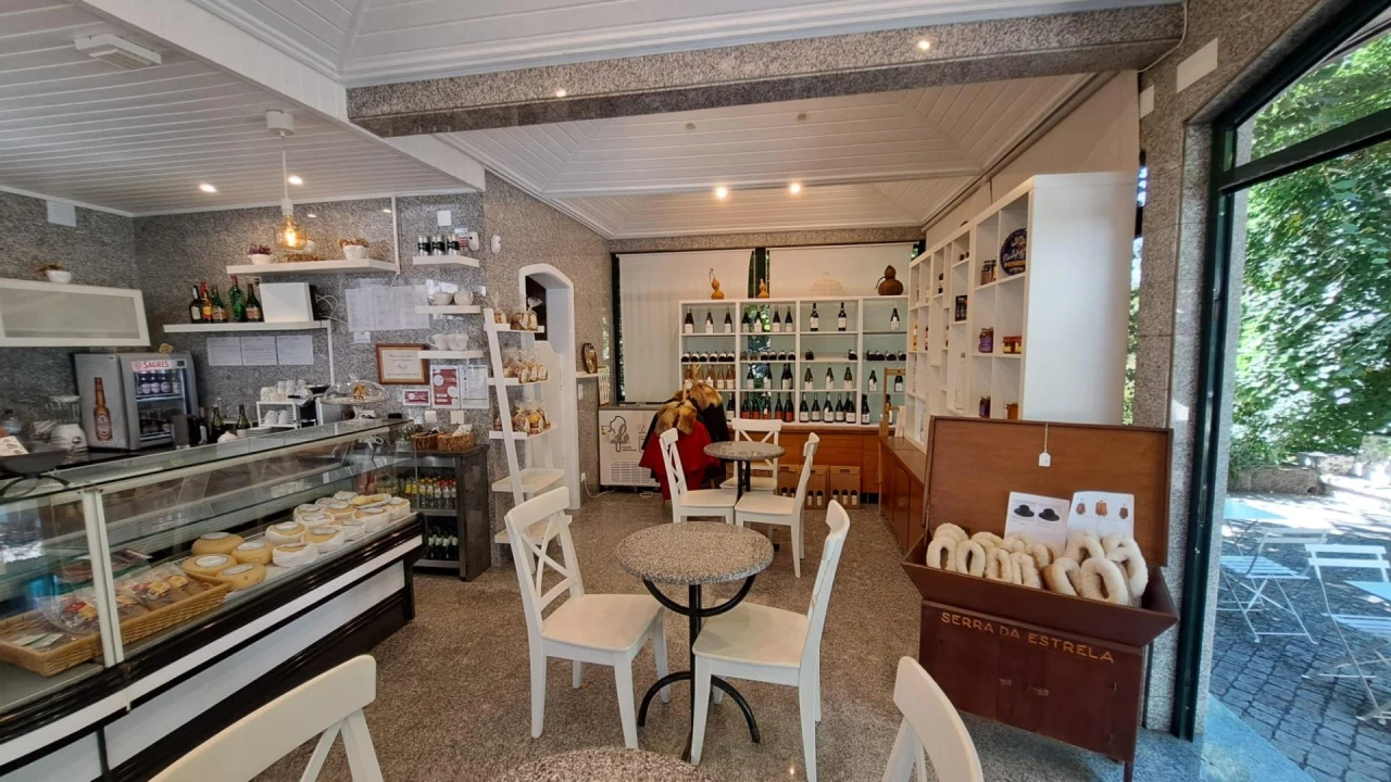 Negócio para Venda em Canas de Senhorim Foto 11