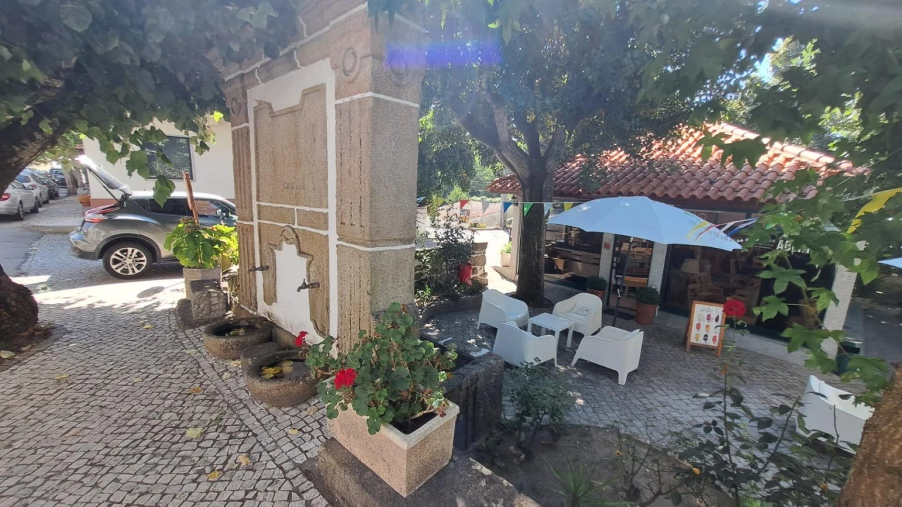 Negócio para Venda em Canas de Senhorim Foto 2