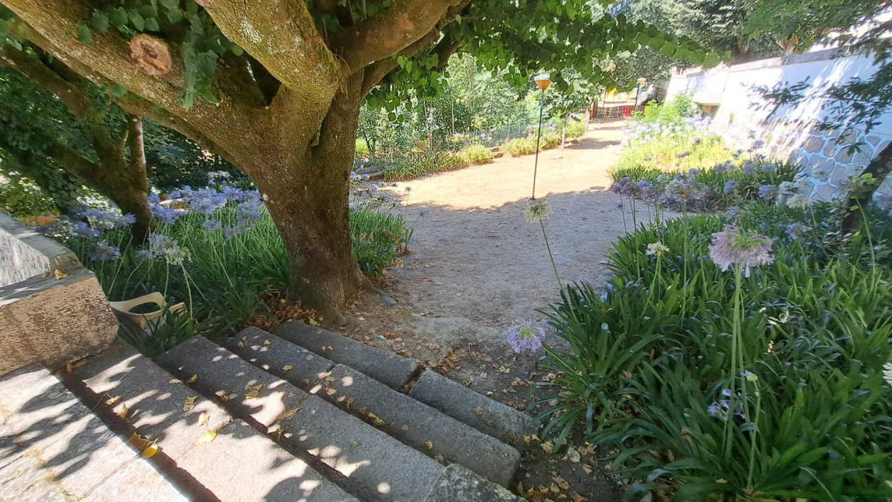 Negócio para Venda em Canas de Senhorim Foto 25