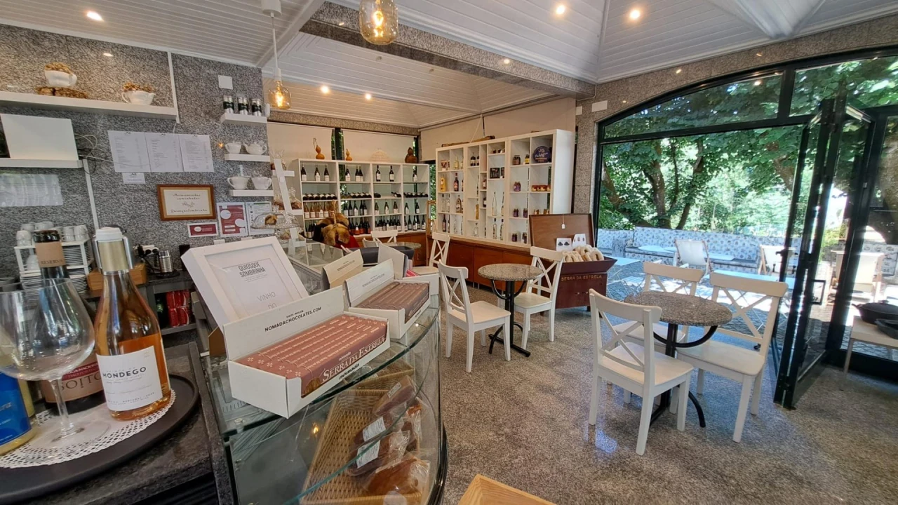 Negócio para Venda em Canas de Senhorim Foto 9