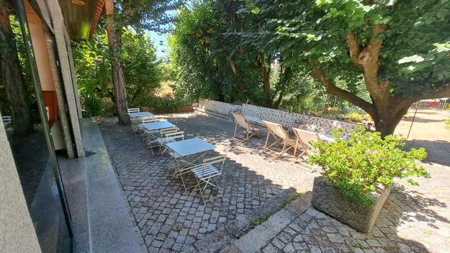 Negócio para Venda em Canas de Senhorim Foto 19