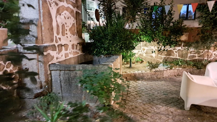 Negócio para Venda em Canas de Senhorim Foto 24