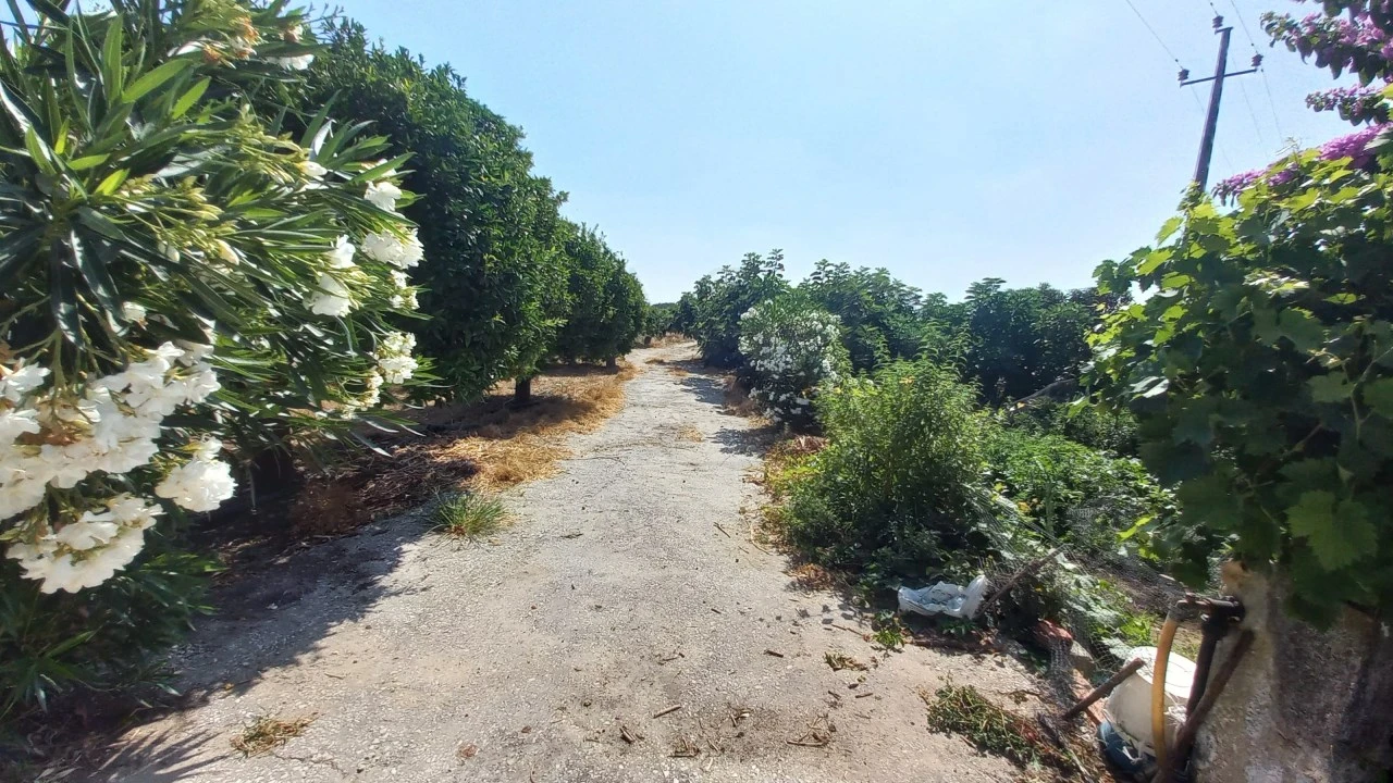 Quinta T3 para Venda em Poceirão e Marateca Foto 7