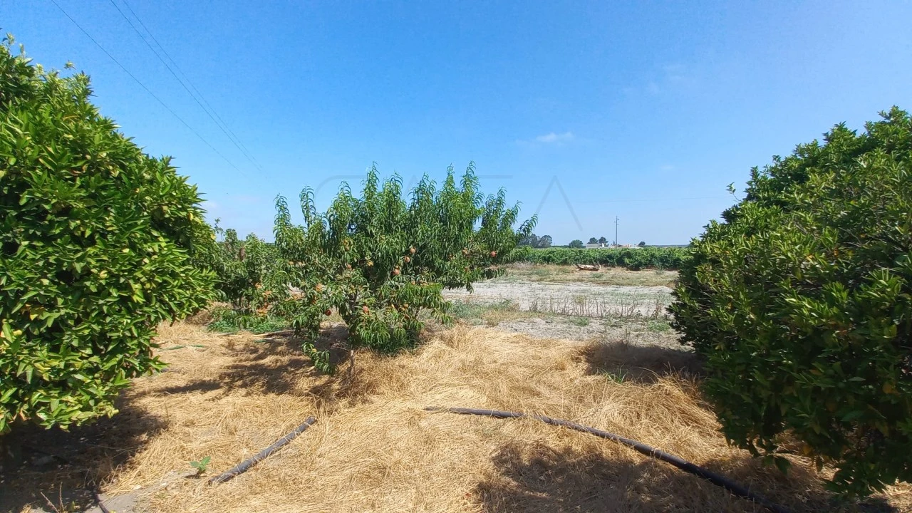 Quinta T3 para Venda em Poceirão e Marateca Foto 8