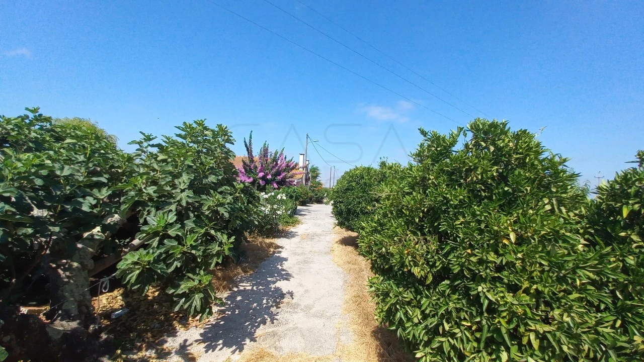 Quinta T3 para Venda em Poceirão e Marateca Foto 10