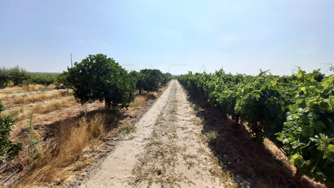 Quinta T3 para Venda em Poceirão e Marateca Foto 11