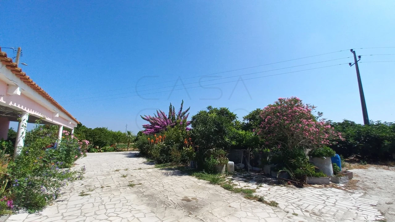 Quinta T3 para Venda em Poceirão e Marateca Foto 24